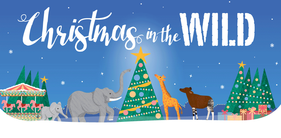 Christmas in the Wild