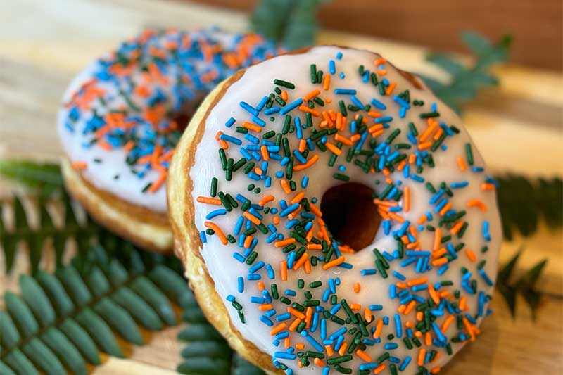 Dino Doughnuts