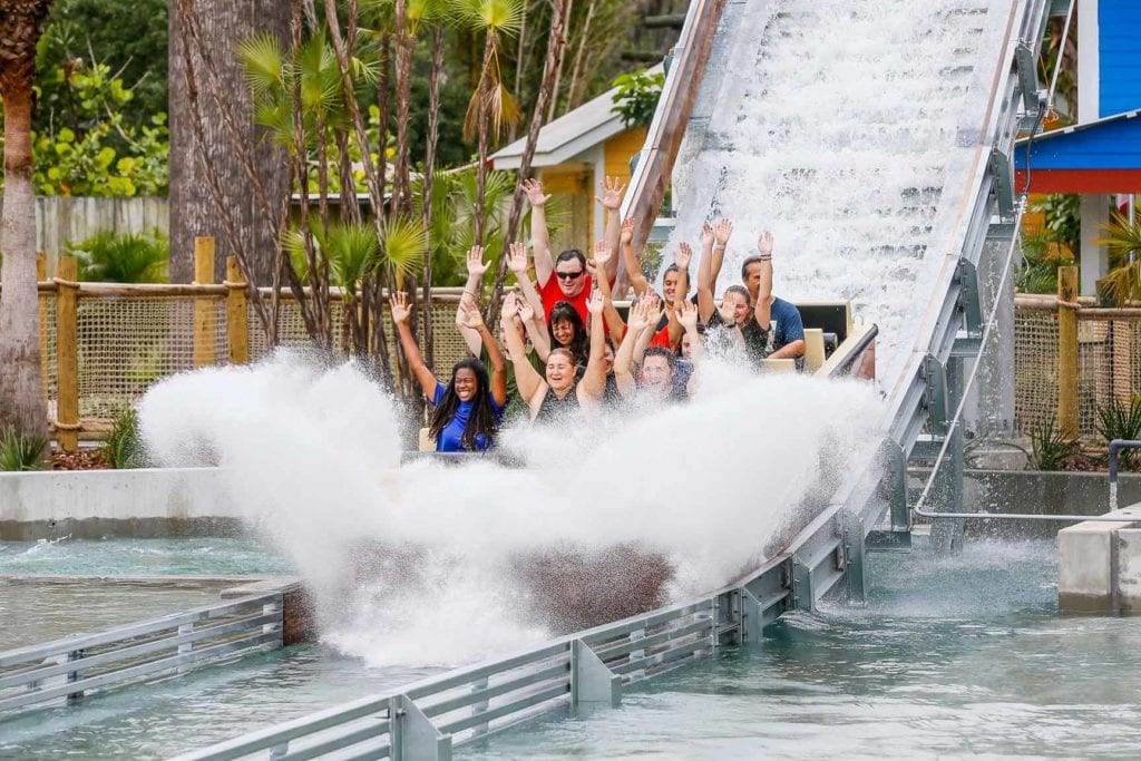 Guests at ZooTampa raise their arms into the air as they splash down into the water at the bottom of a three story drop on the Roaring Springs water ride at ZooTampa