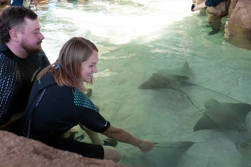 StingrayEncounter-Julia+SO-800x533