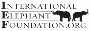 Global Conservation - ZooTampa at Lowry Park